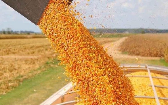 Derogaron un tope a las exportaciones de granos