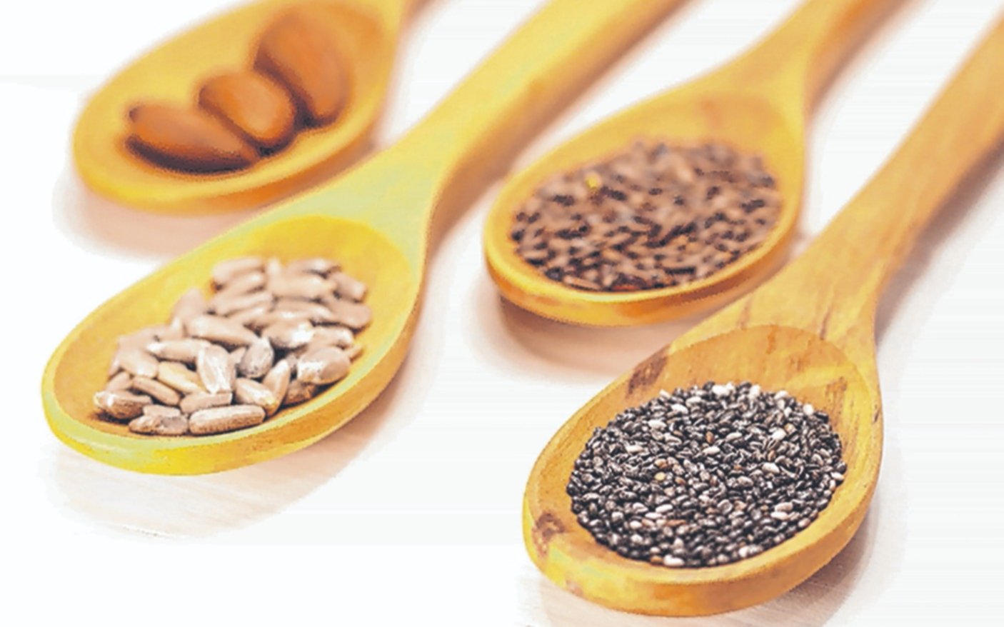 Frutos secos y semillas: los pequeños aliados de la nutrición con grandes efectos para el bienestar