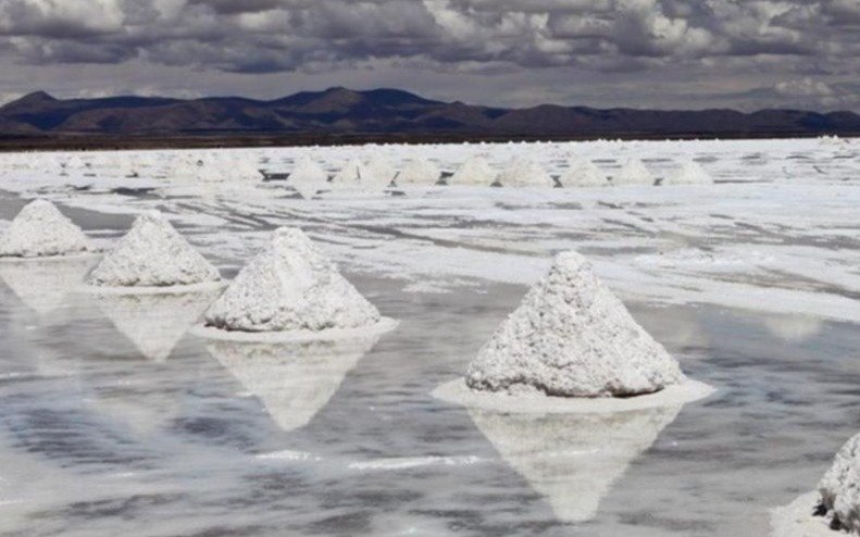 Fiebre del litio: alertan por su impacto en la biodiversidad