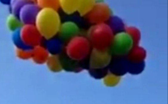 Prohíben los globos para proteger especies