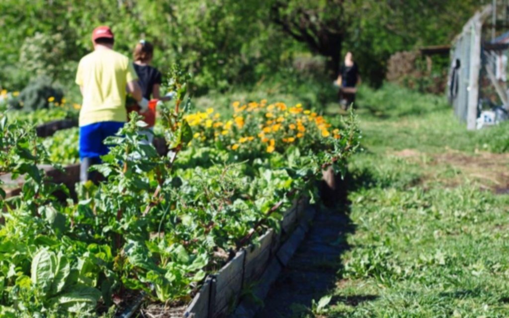 La agroecología, recurso contra la desertificación