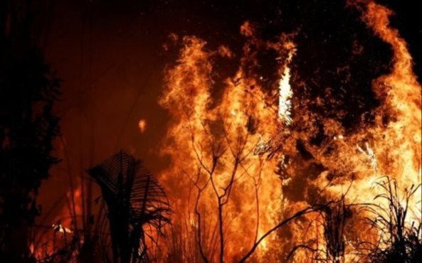 El fuego amenaza al mayor humedal del mundo