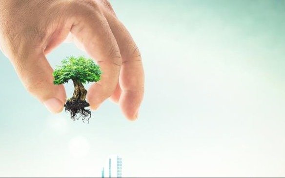 Festivales musicales, con credenciales ecológicas