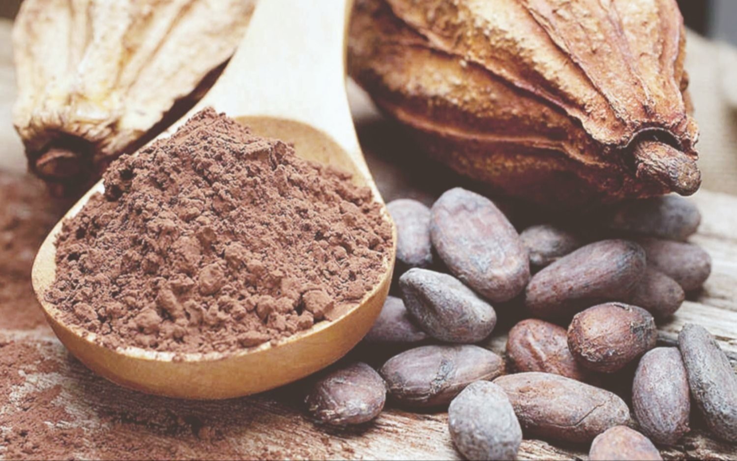 El cacao cotiza como “oro” en Ecuador