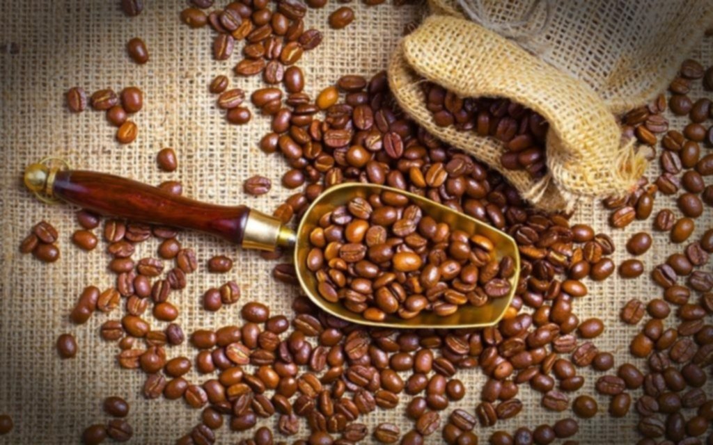 La cafeína ralentizaría el avance del Alzheimer en etapas tempranas