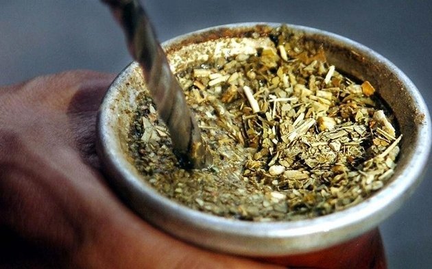 Investigan compra de yerba “no apta” para el consumo