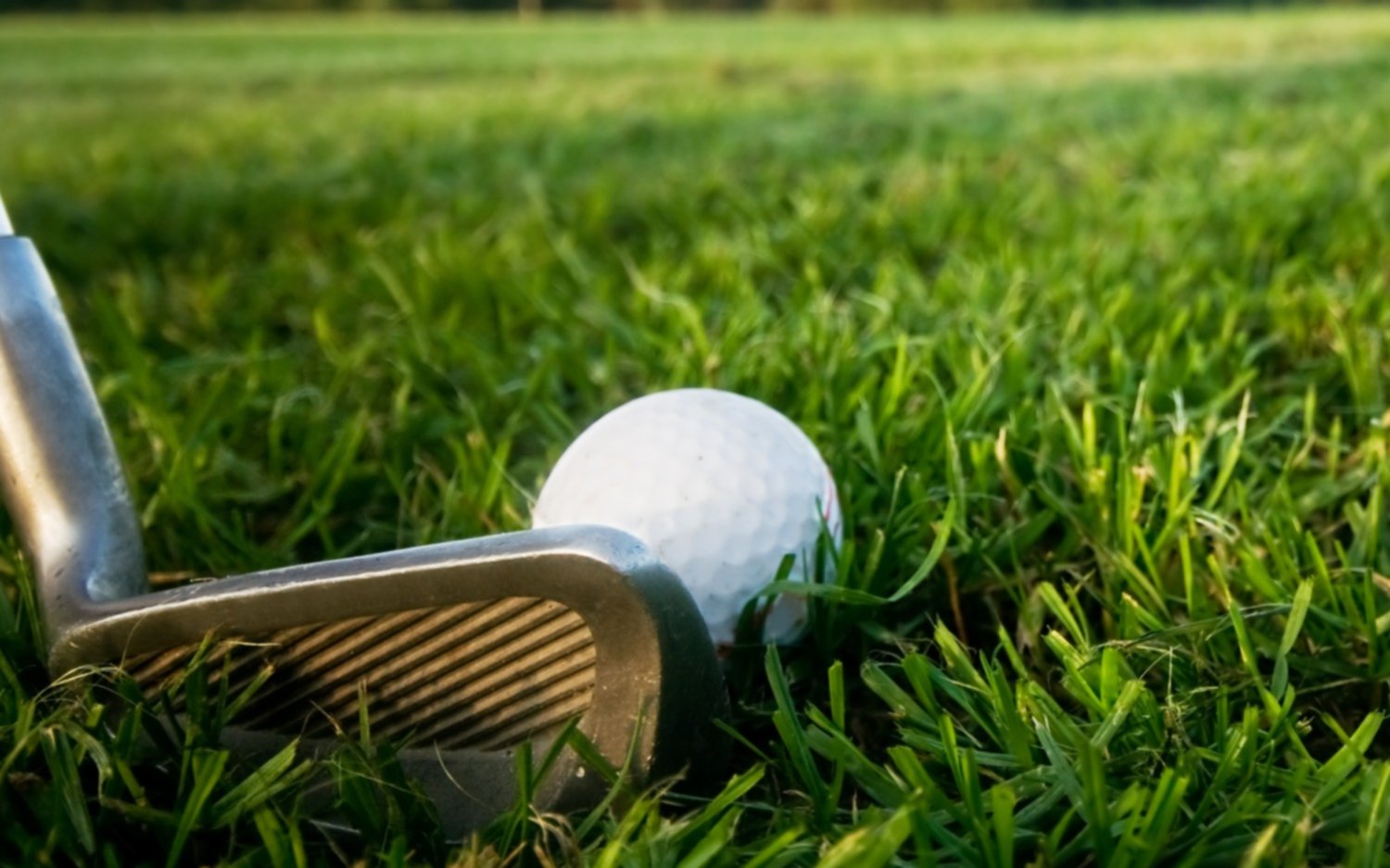 Excelente arranque de Emiliano Grillo, en golf