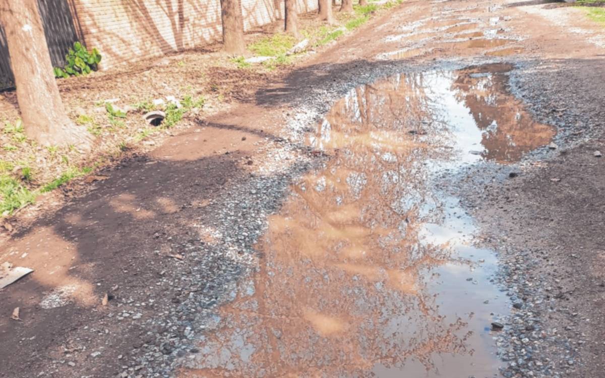 Reclama por el arreglo de la calle 486, en Gonnet
