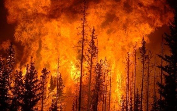 Incendios forestales: un riesgo para la salud de los trabajadores agrícolas