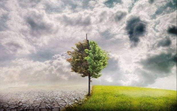 Un estudio alerta por el declive de la biodiversidad