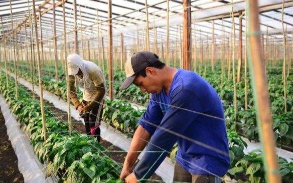 Multiplicaron por tres los precios de los agroalimentos
