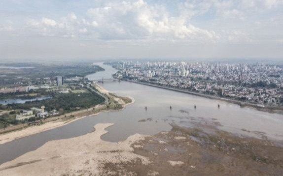 Por la bajante del Paraná ya escasean los surubíes