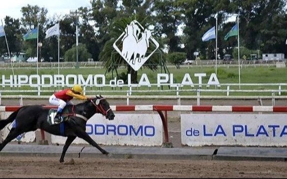 Se complican las carreras del Hipódromo