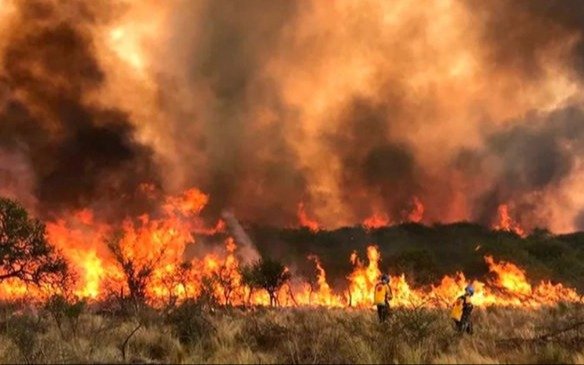 El presidente Milei sobrevoló el área más crítica por los incendios