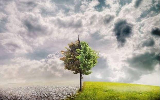 Biodiversidad: advierten que el tiempo apremia