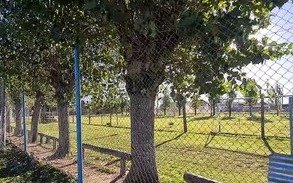 Actividades: baile y almuerzo