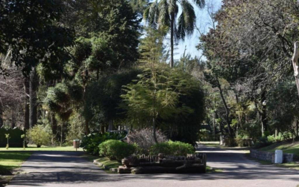 Actividades en La Plata: feria, caminata por el Bosque y clases de básquet