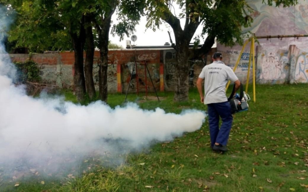 Es clave anticiparse al avance de los mosquitos para no sufrir con el dengue
