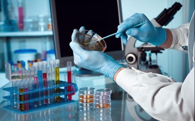 El valor de la investigación científica ayer, hoy y siempre