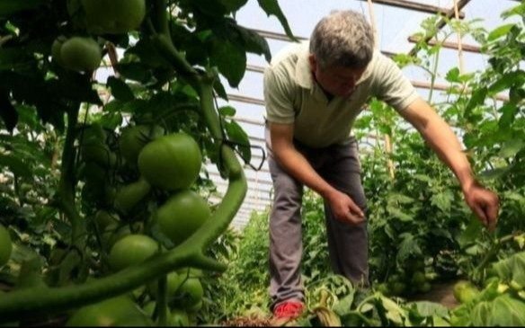 Impacto del acuerdo en la agricultura europea