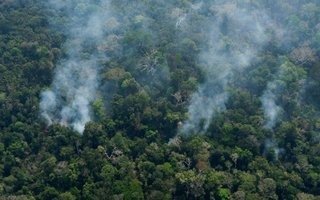 El fuego fue récord en la selva amazónica