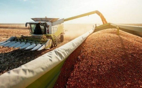 Cheques rechazados y embargos golpean a firmas agropecuarias