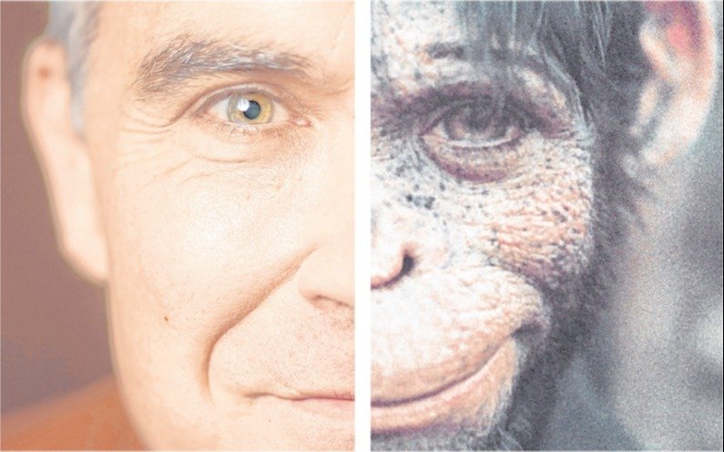 Robbie Williams: “He sido un mono descarado toda mi vida”