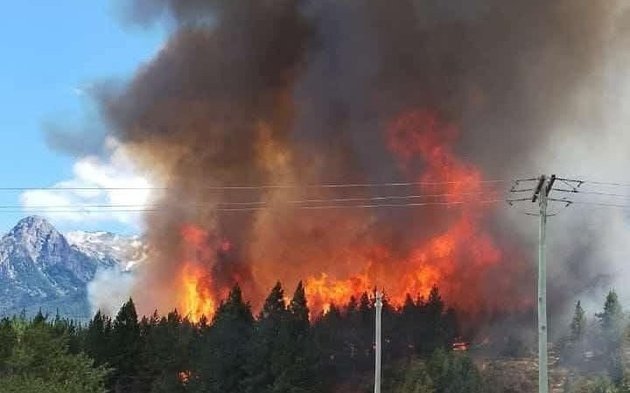 La lucha que debe darse contra los incendios forestales