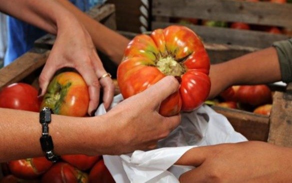 Anuncian la 20ª edición de la Fiesta del Tomate Platense