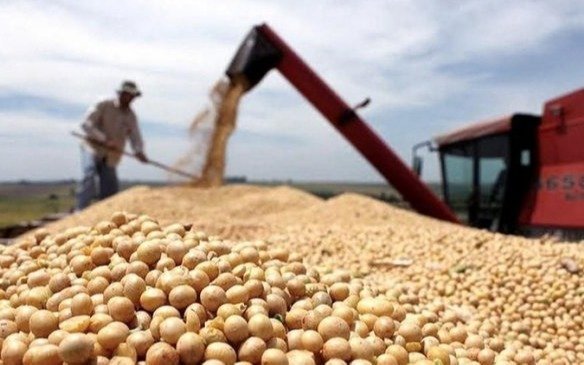 El campo mide el alcance del recorte de retenciones y sufre la falta de agua