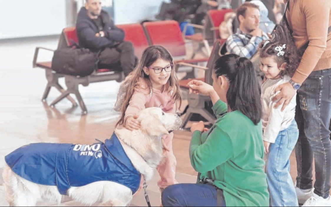 ¿Te da miedo volar? ¡Olvidate! Ya hay perritos que te hacen unos mimos y se te pasa