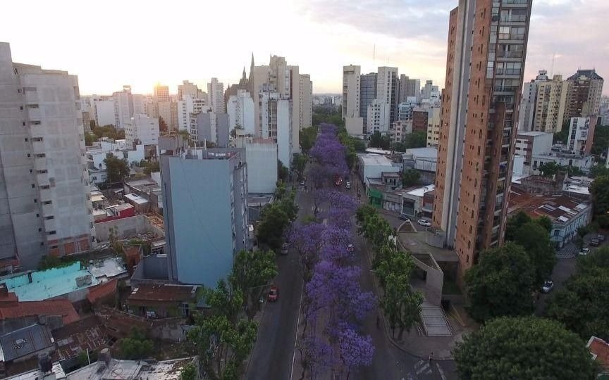 Se esperan condiciones climáticas “optimas” para el próximo trimestre