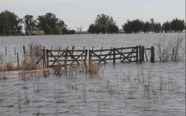 Inquietud en el campo: cerca de 2 millones de hectáreas, bajo el agua