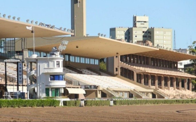 El Hipódromo de La Plata, sin carreras: ¿qué pasó?