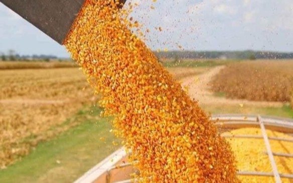 Destacan el lanzamiento de la cosecha en 2025