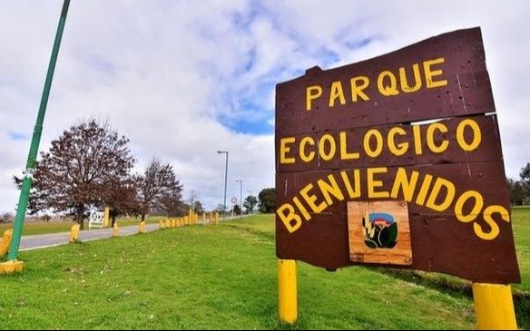 Caminata de observación de aves silvestres en el Parque Ecológico