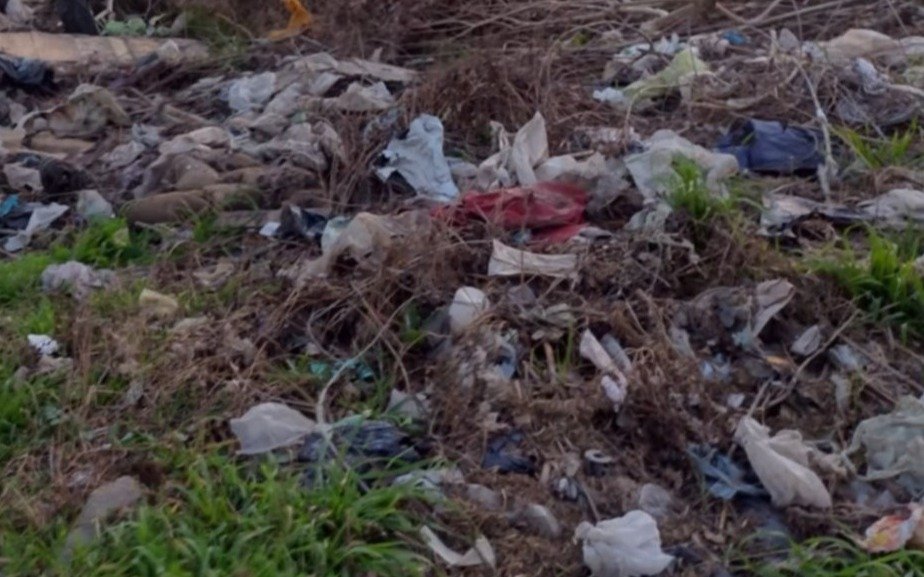 Ecologistas denunciaron un mega basural a cielo abierto en Punta Indio