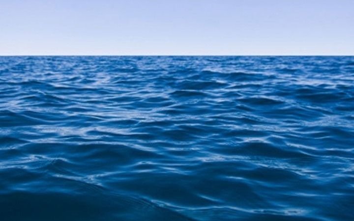 Crece la presión para aprobar un tratado que protege los océanos