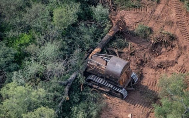 Deforestación: controversia por una lista de países
