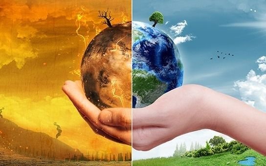 Usan algas para reducir gases de efecto invernadero