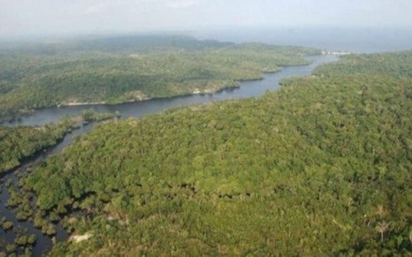 Deforestación: creció en la Amazonía por los incendios