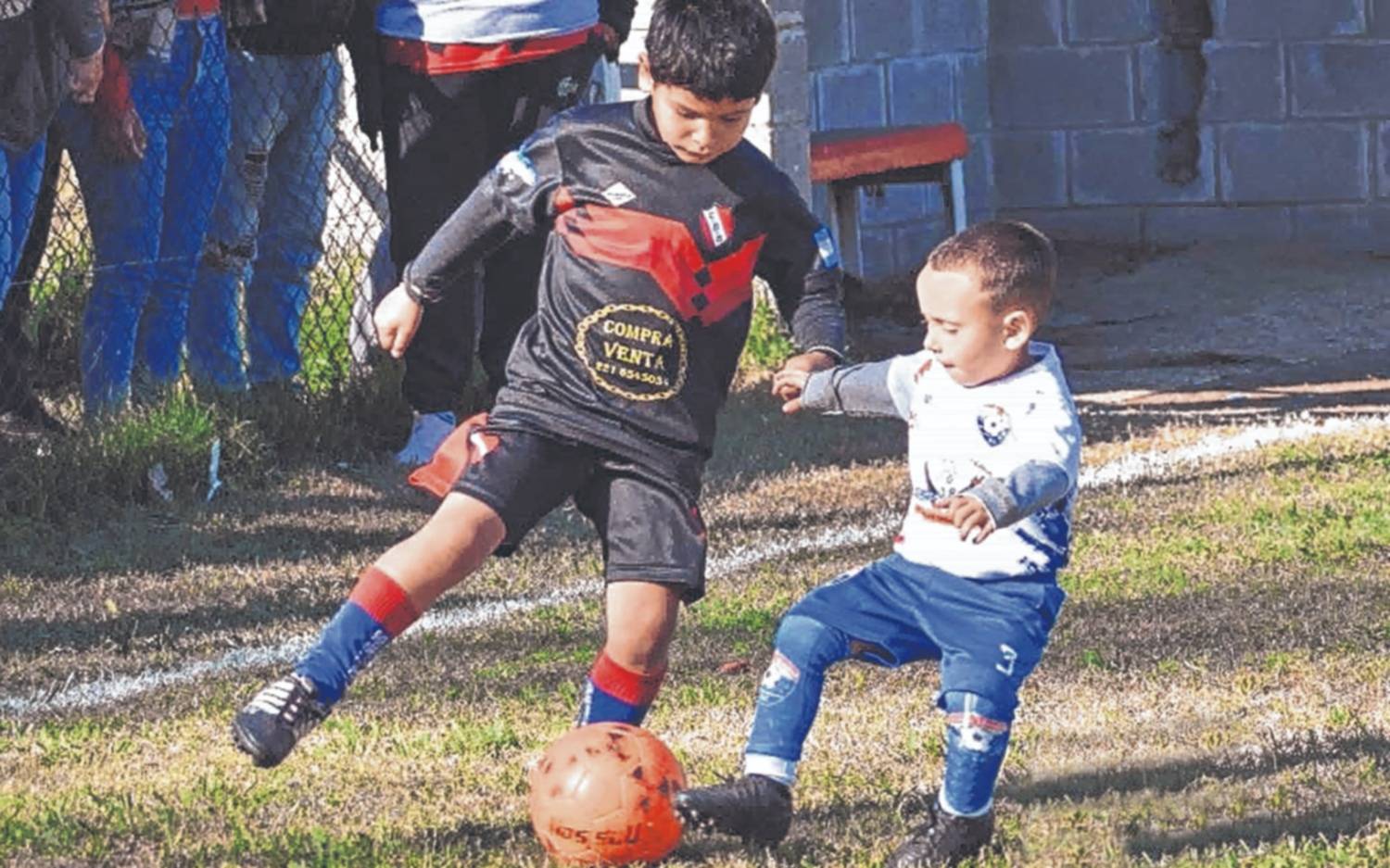 Compañeros de emociones