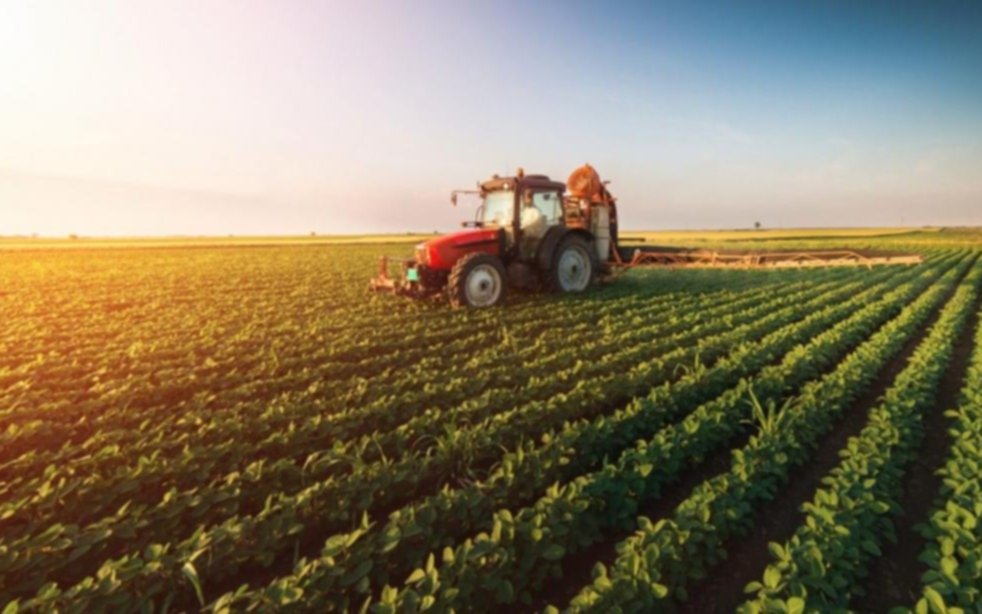 Denuncian pérdidas en el agro por la motosierra