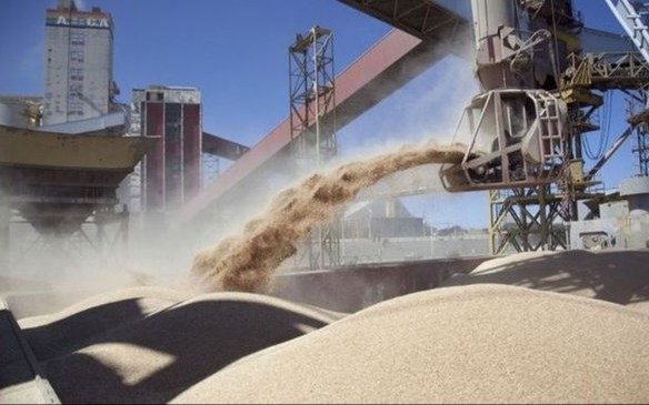 La mitad de la capacidad molinera pyme “está ociosa”