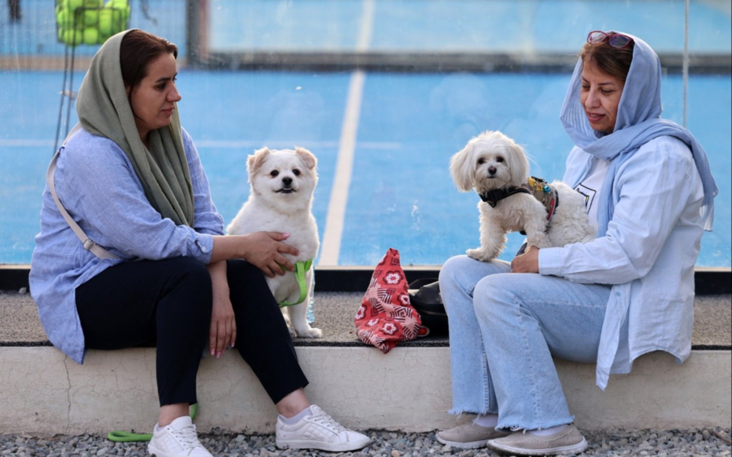 El país donde pasear a tu mascota te puede dar problemas