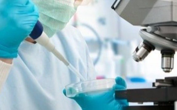 Logran bajar el riesgo de enfermedades hereditarias