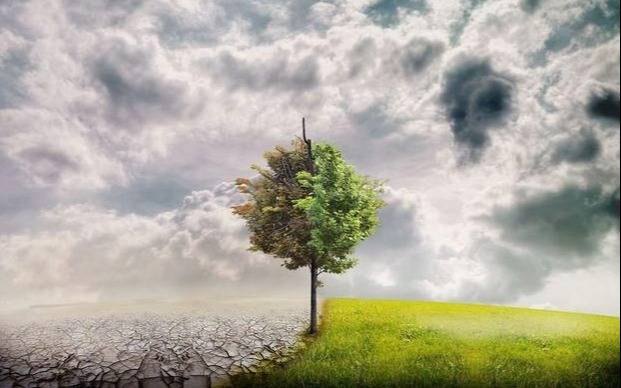 Un histórcio fallo sobre el cambio climático