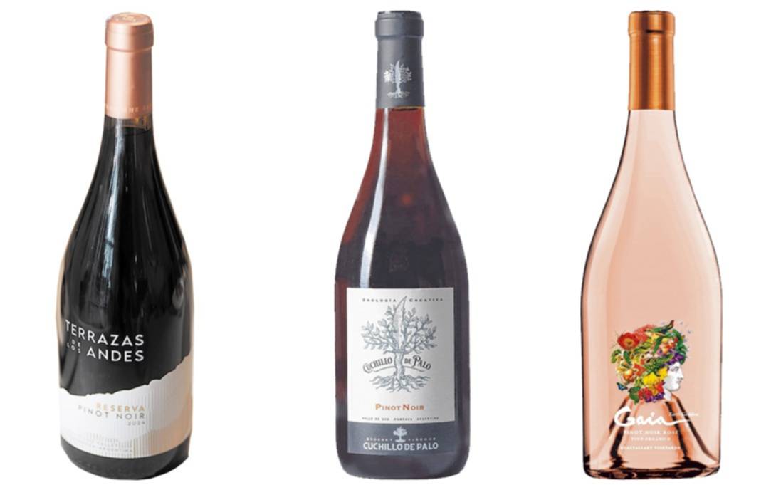 Pinot Noir de altura: tres lanzamientos para celebrar su día
