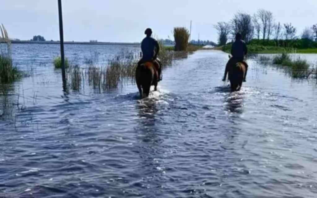 Emergencia agropecuaria en diez municipios