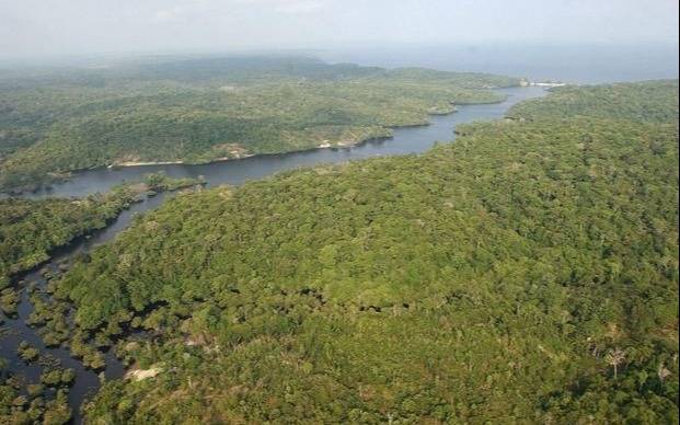 La selva amazónica protege de enfermedades